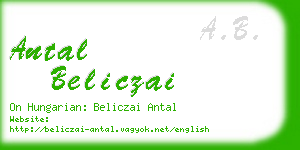 antal beliczai business card